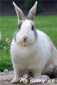 My Bunny Log