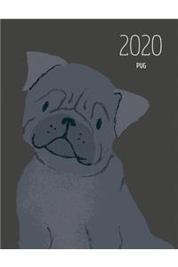 2020 Pug