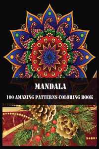 Mandala 100 Amazing Patterns Coloring Book