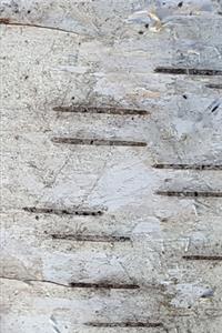 2020 Weekly Planner Birch Bark Photo 134 Pages