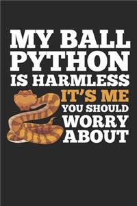 My Ball Python is Harmless it's me you should worry about