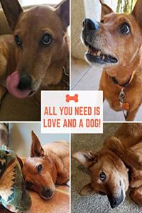 All You Need is Love and a Dog!