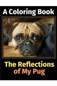 Reflections of My Pug