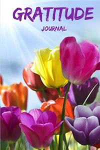 Gratitude Journal