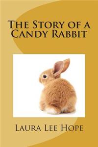 The Story of a Candy Rabbit