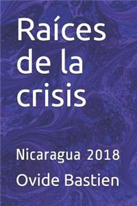 Raíces de la crisis