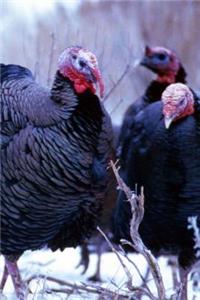 2019 Daily Planner Winter Theme Wild Turkeys 384 Pages