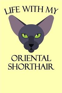 Life with My Oriental Shorthair