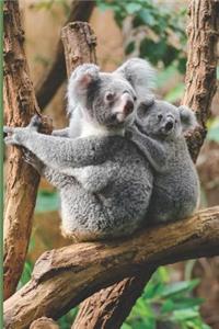 Koala Blank Lined Notebook Journal