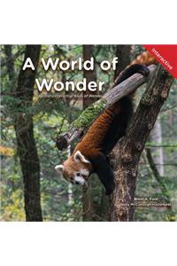 A World of Wonder