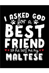 I Asked God For A Best Friend So He Sent Me My Maltese