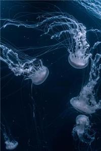 Ocean Jellyfish Journal