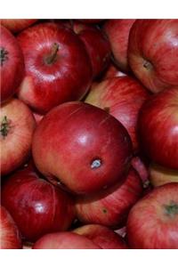 Apples Notebook 8.5