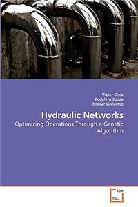 Hydraulic Networks