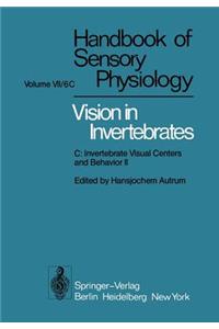 Comparative Physiology and Evolution of Vision in Invertebrates