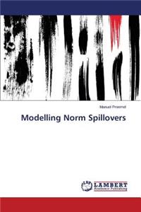 Modelling Norm Spillovers