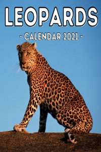 Leopards Calendar 2021