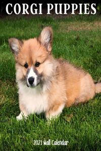 Corgi Puppy 2021 Wall Calendar