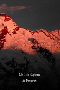Libro de Registro de Facturas