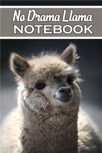 No Drama Llama notebook