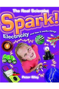 Spark-Electricity and How It Works