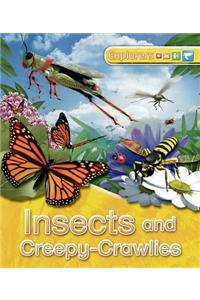 Explorers: Insects and Creepy-Crawlies