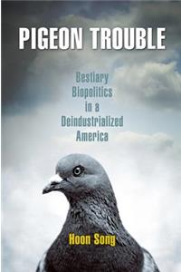Pigeon Trouble