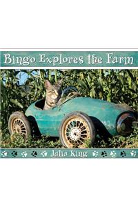 Bingo Explores the Farm