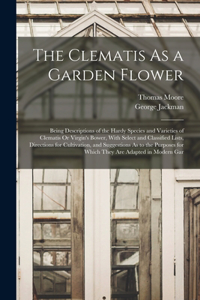 Clematis As a Garden Flower