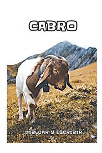 Cabro