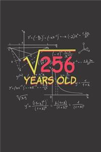 256 Years Old