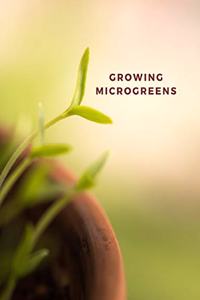 Growing microgreens