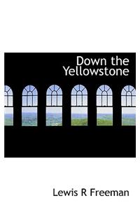 Down the Yellowstone