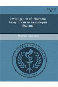 Investigation of Triterpene Biosynthesis in Arabidopsis Thaliana
