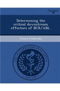 Determining the Critical Downstream Effectors of Bcr/Abl
