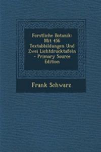 Forstliche Botanik: Mit 456 Textabbildungen Und Zwei Lichtdrucktafeln - Primary Source Edition