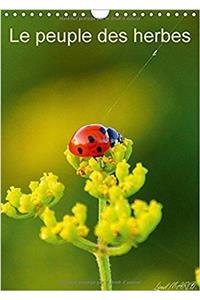 Le Peuple Des Herbes 2017