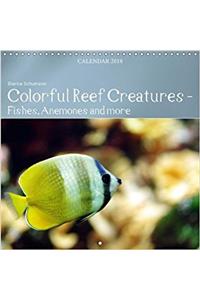 Colorful Reef Inhabitants - Fishes, Anemones and More 2018