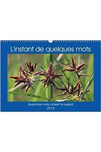 L'Instant De Quelques Mots 2018