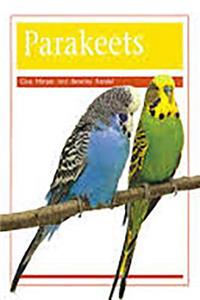 Pets: Parakeets