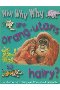 Why Why Why Are Orangutans So Hairy?