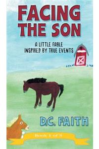 Facing the Son