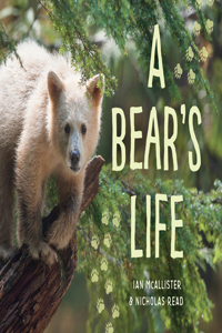 A Bear's Life (Monograph Series, Any, My Great Bear Rainforest)