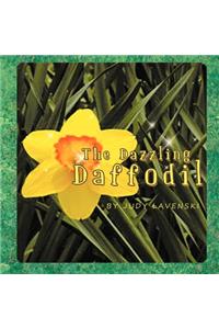 The Dazzling Daffodil