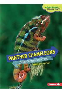 Panther Chameleons
