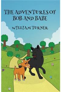 The Adventures of Bob and Babe