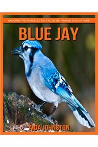 Blue Jay