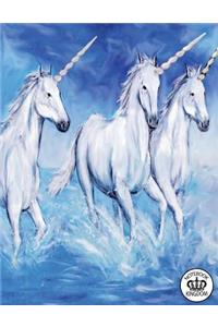 Notebook Kingdom Unicorn Series