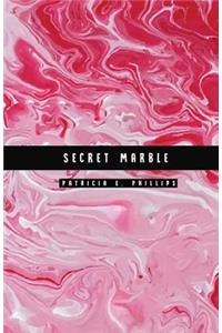 Secret Marble: Red Marble Password Notebook Help You Conceal and Protect Your Password Information