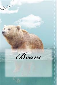 Bears